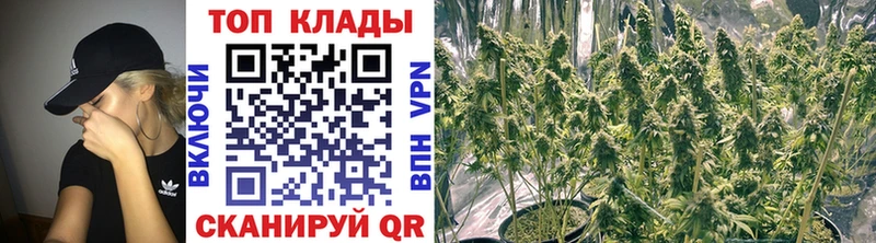 Где найти наркотики Суджа ГАШИШ  Cocaine  Меф мяу мяу 