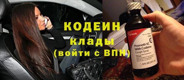 ПСИЛОЦИБИНОВЫЕ ГРИБЫ Арсеньев