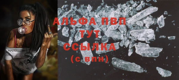 шишки Армянск