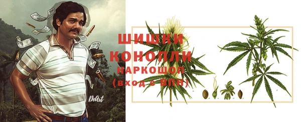спайс Нея