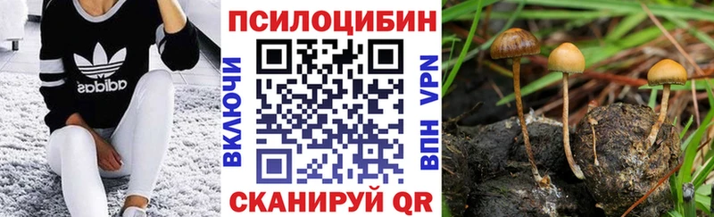 Галлюциногенные грибы Magic Shrooms  где найти   Суджа 